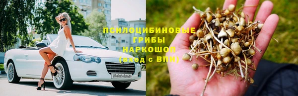 прущая мука Абаза