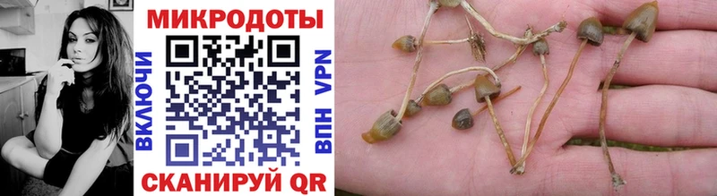 хочу   блэк спрут ссылки  Псилоцибиновые грибы прущие грибы  Нальчик 
